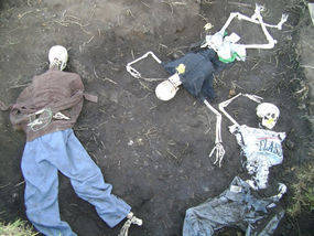 Forensic Anthropology Programs In Ontario