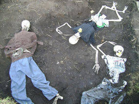 forensic archaeology