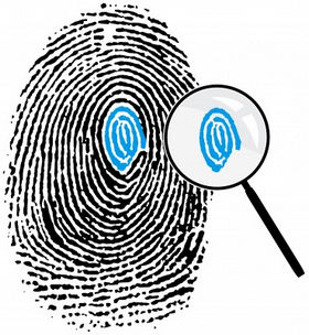 fingerprint analysis